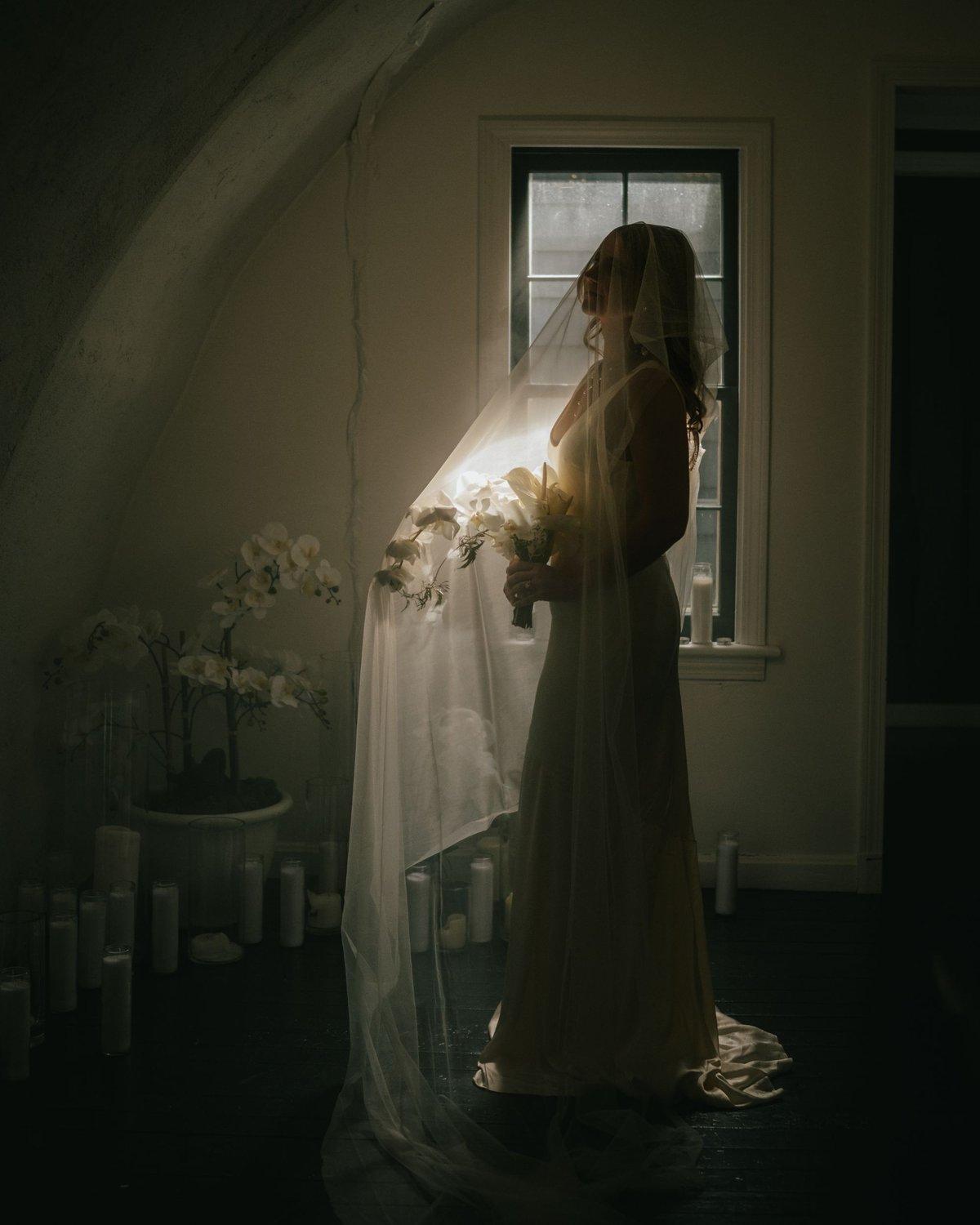 carousel-hero-element image-9